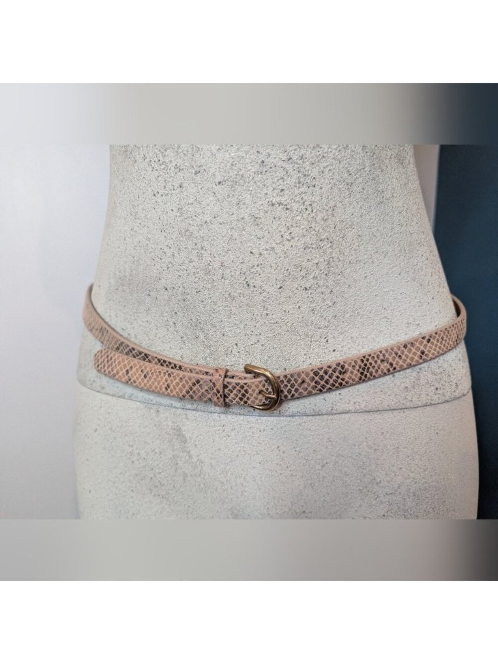 Wilfred Italian leather Snakeskin Belt With Gold Buckle Made In the USA Sz M